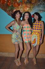 Diandra Soares,Binal Trivedi, Pia Trivedi at Lakme Fashion Week Day 1 on 3rd Aug 2012,1 (61).JPG